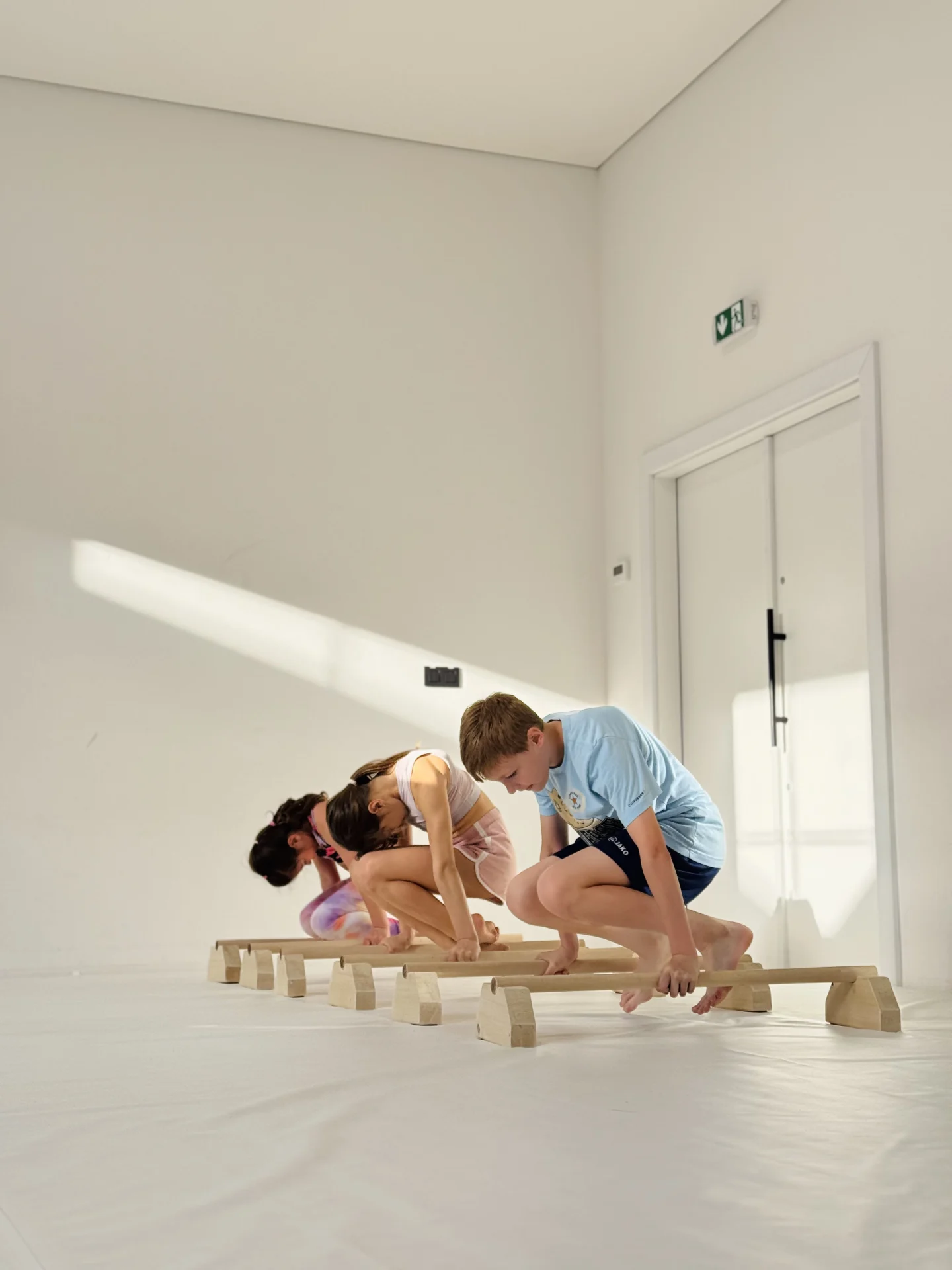miniMOVE